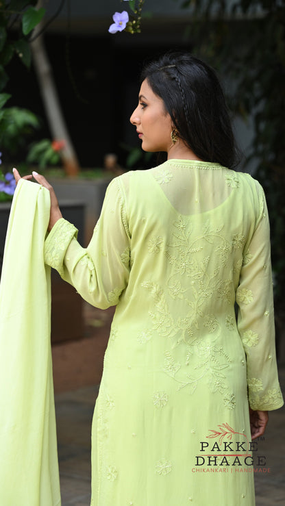 Sahiba Pure Viscose Kurta & Kurta Sets - Pistacchio Cream