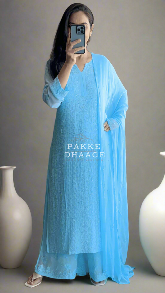 Person wearing a light blue chikankari outfit with 'PAKKE DHAAGE' branding in a home setting with plants.